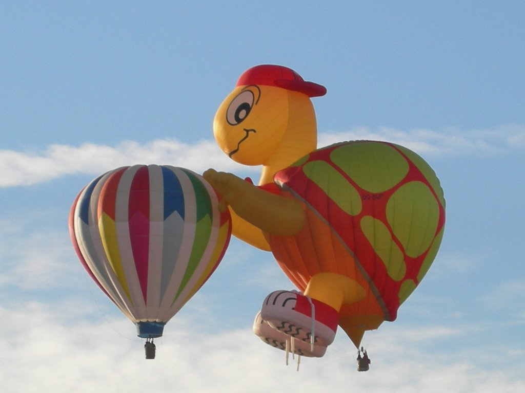 Tortoise Air Balloon At Albuquerque Balloon Festival