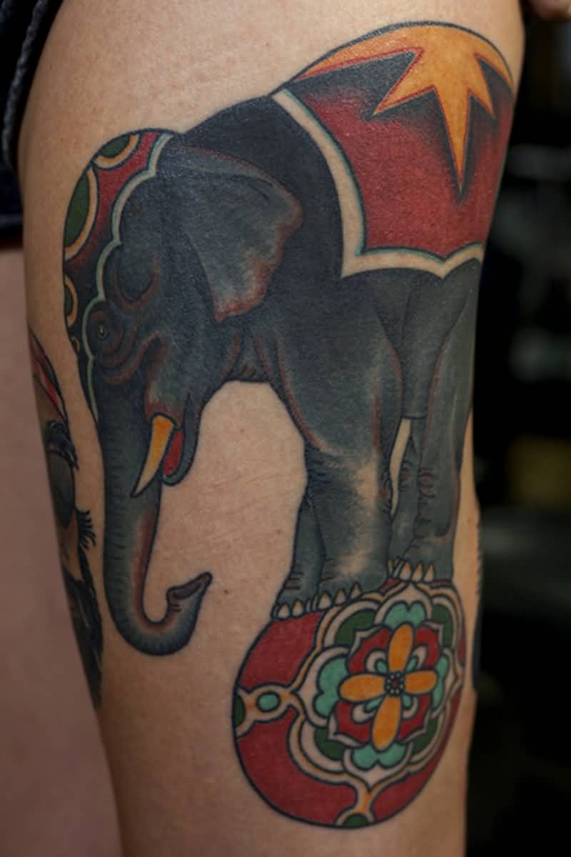 Traditional Circus Elephant On Ball Tattoo Design For Thigh