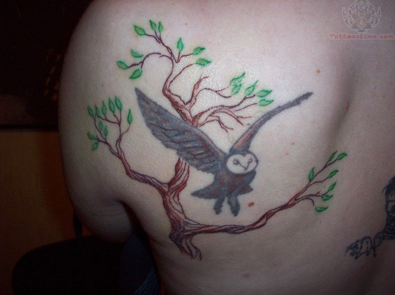 Tree And Flying Owl Tattoo On Left Back Shoulder