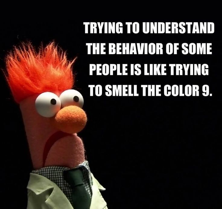 Trying to understand the behavior of some people is like trying to smell the color 9