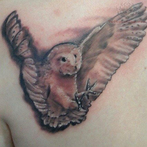 Unique Flying Owl Tattoo On Back Shoulder