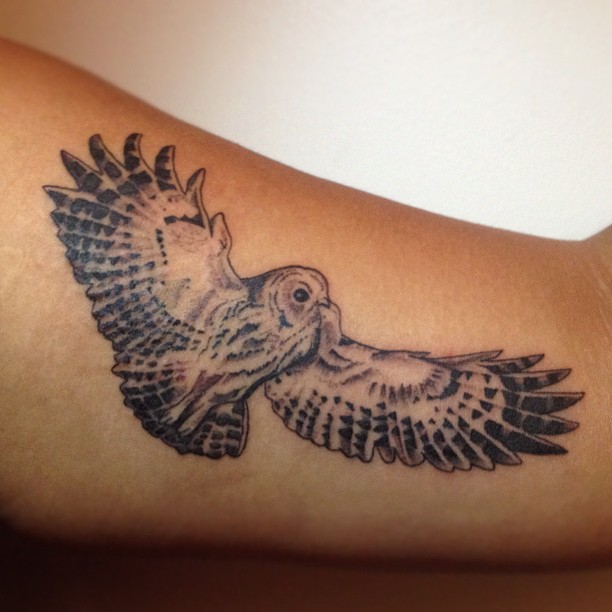 Unique Flying Owl Tattoo On Bicep