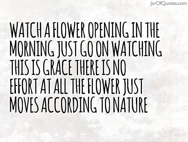 Watch a Flower opening in the Morning. Just go on Watching -this is Grace, There is no effort at all, the Flower just moves according to Nature.