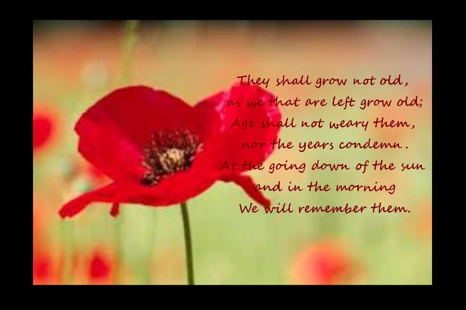 We Will Remember Them On Remembrance Day