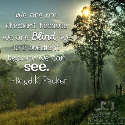We are not obedient because we are blind, we are obedient because we can see. Boyd K. Packer