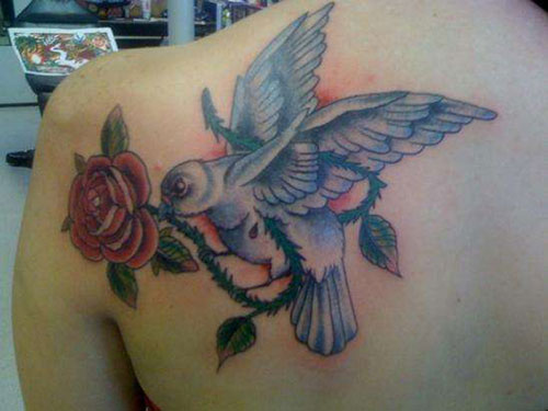 White And Blue Dove With Red Rose Tattoo On Left Back Shoulder