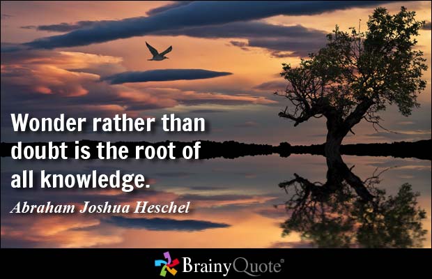 Wonder rather than doubt is the root of all knowledge. Abraham Joshua Heschel