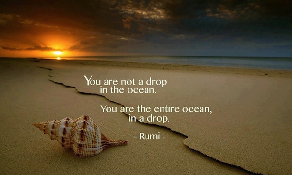 You are not a drop in the ocean. You are the entire ocean, in a drop. Rumi