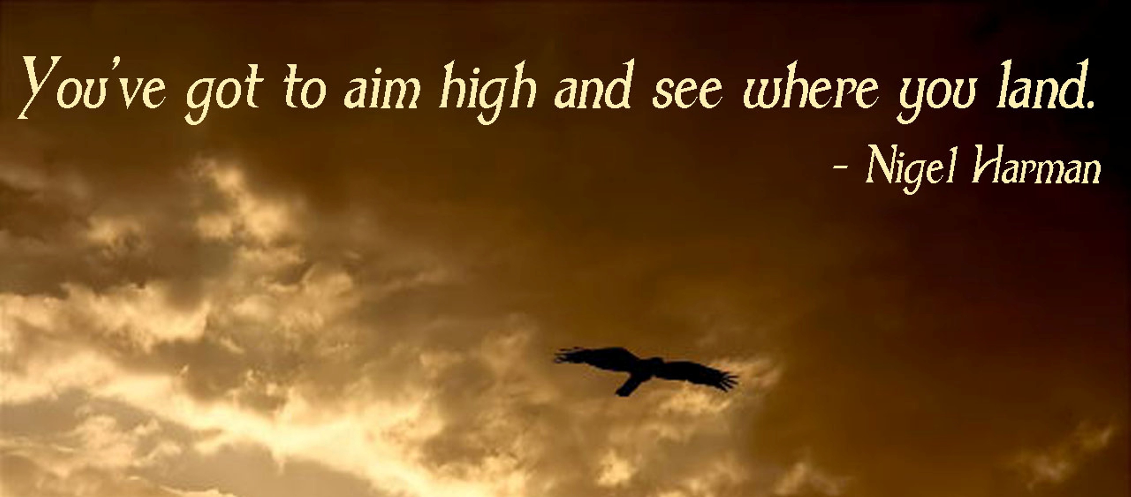 You've got to aim high and see where you land. Nigel Harman