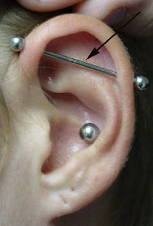 Amazing Silver Barbell Industrial Piercing