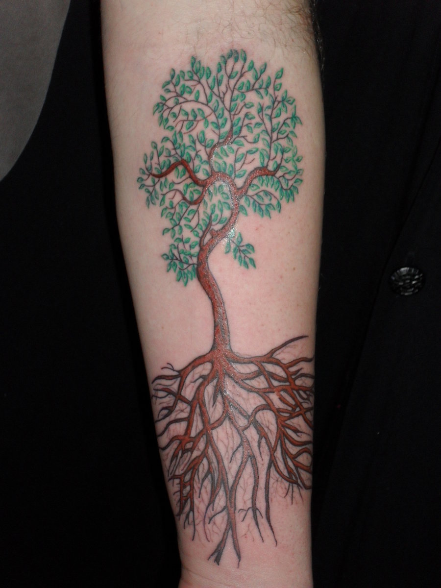 Amazing Tree Of Life Tattoo On Left Forearm By Meghan