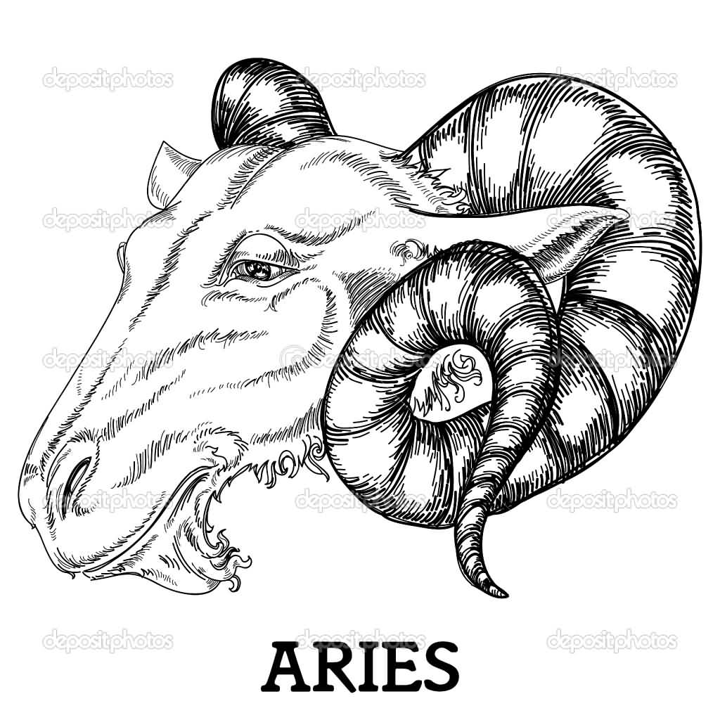 Attractive Aries Zodiac Sign Tattoo Design By Danussa