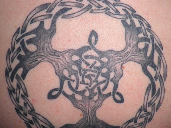 Attractive Black Ink Celtic Tree Of Life Tattoo Design