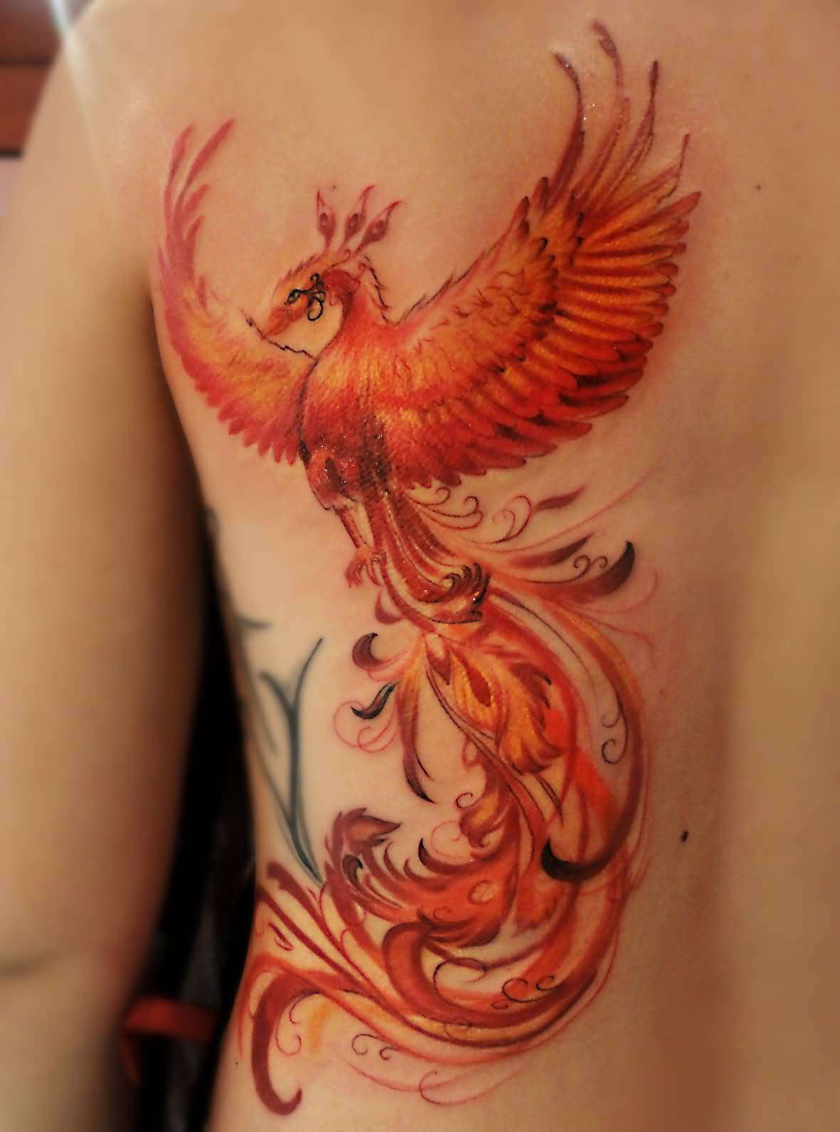 Attractive Colorful Phoenix Tattoo On Back