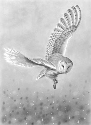 Attractive Grey Ink Flying Owl Tattoo Design