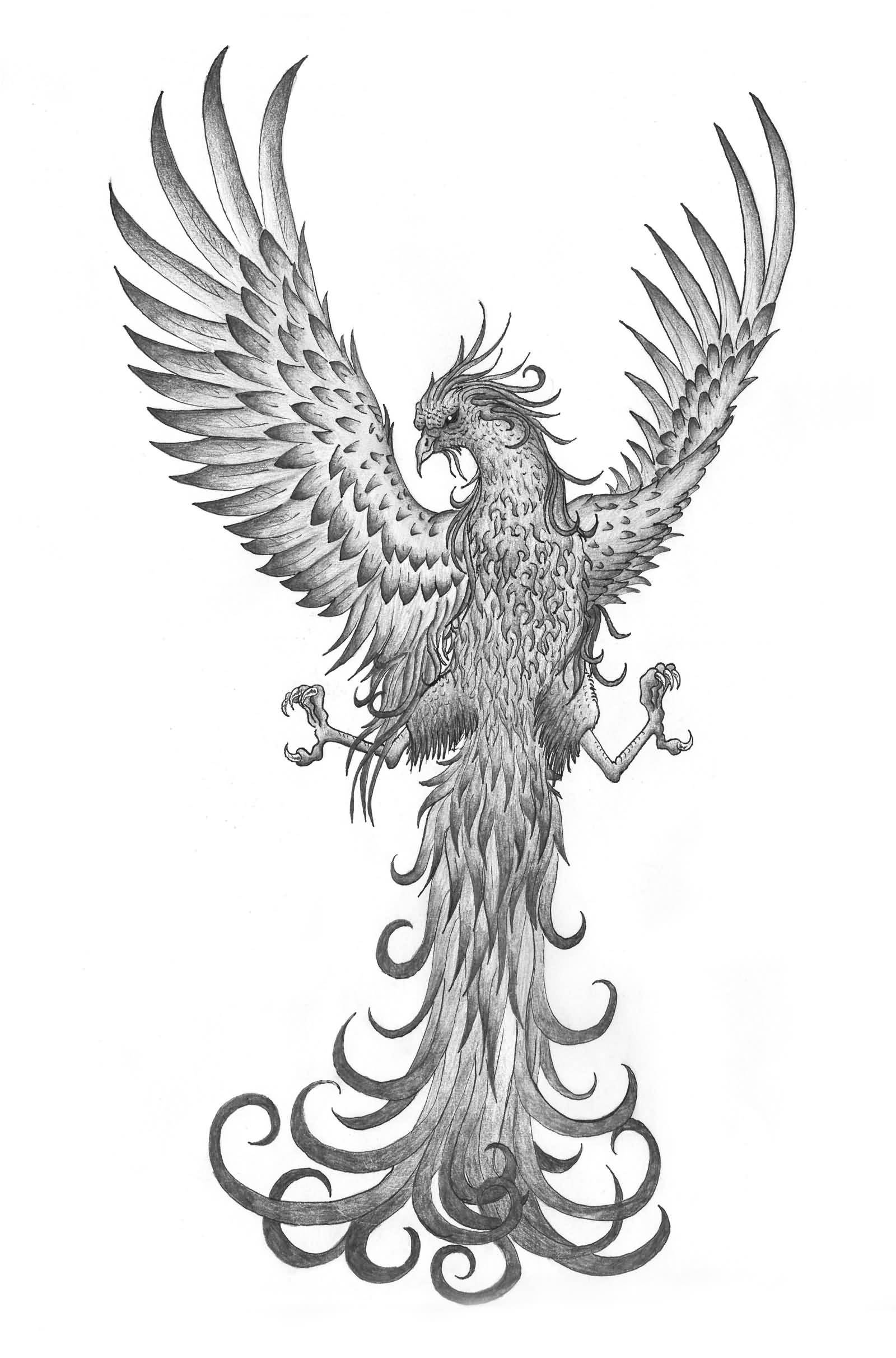 Attractive Grey Ink Flying Phoenix Tattoo Design By Amanda
