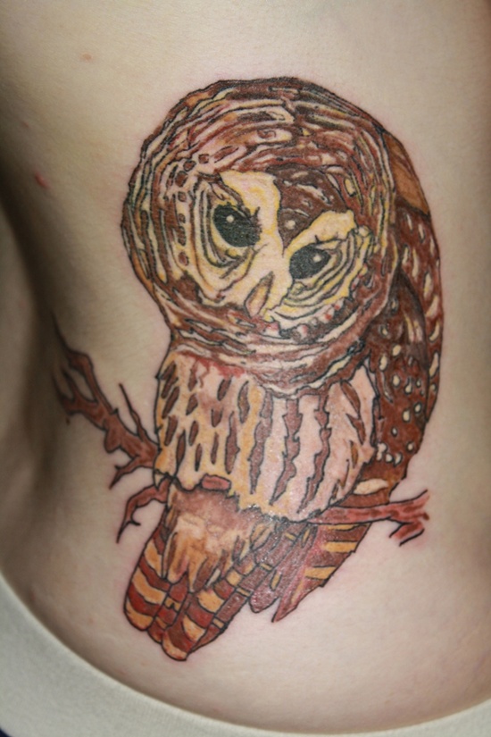 Attractive Owl Tattoo Design For Side Rib