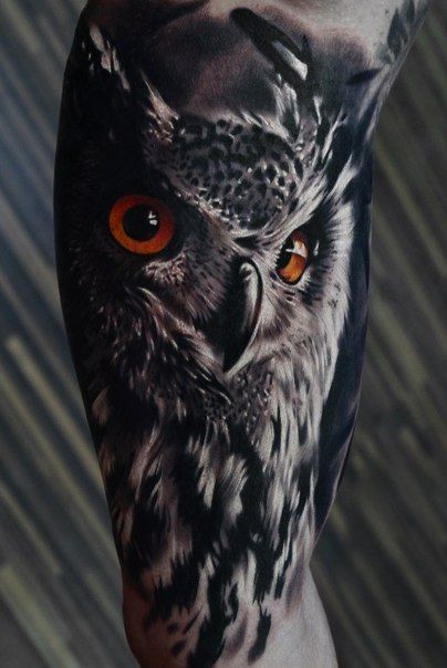 Awesome 3D Realistic Owl Tattoo Design For Half Sleeve