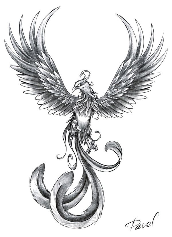 Awesome Black And Grey Flying Phoenix Tattoo Design