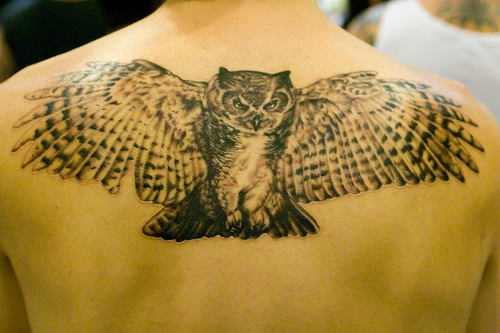 Awesome Black Ink Flying Owl Tattoo On Upper Back