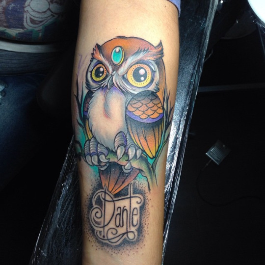 Awesome Colorful Owl Tattoo Design For Sleeve