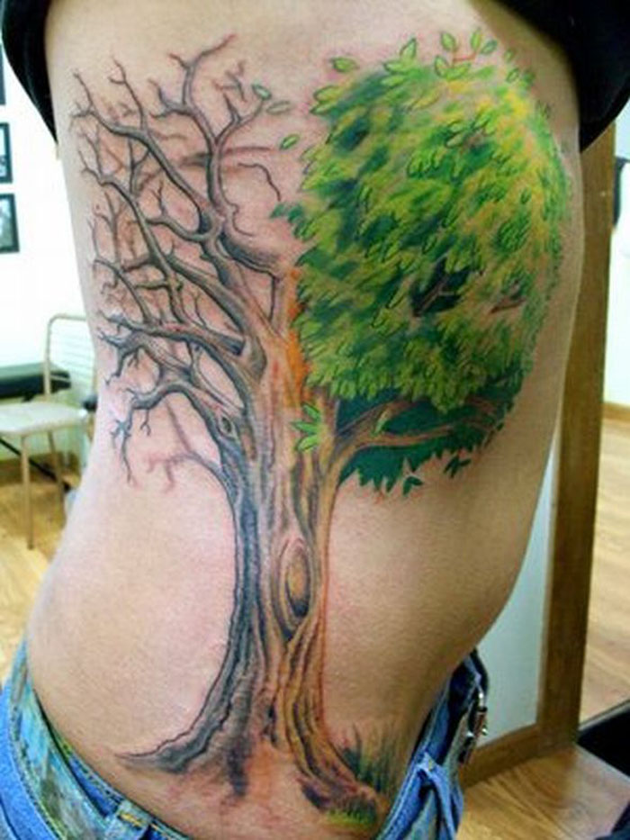 Awesome Colorful Tree Of Life Tattoo On Right Side Rib
