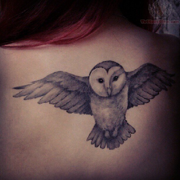Black And Grey Flying Owl Tattoo Design For Girl