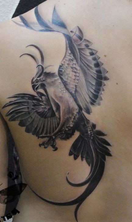 Black And Grey Flying Phoenix Tattoo On Man Left Back Shoulder