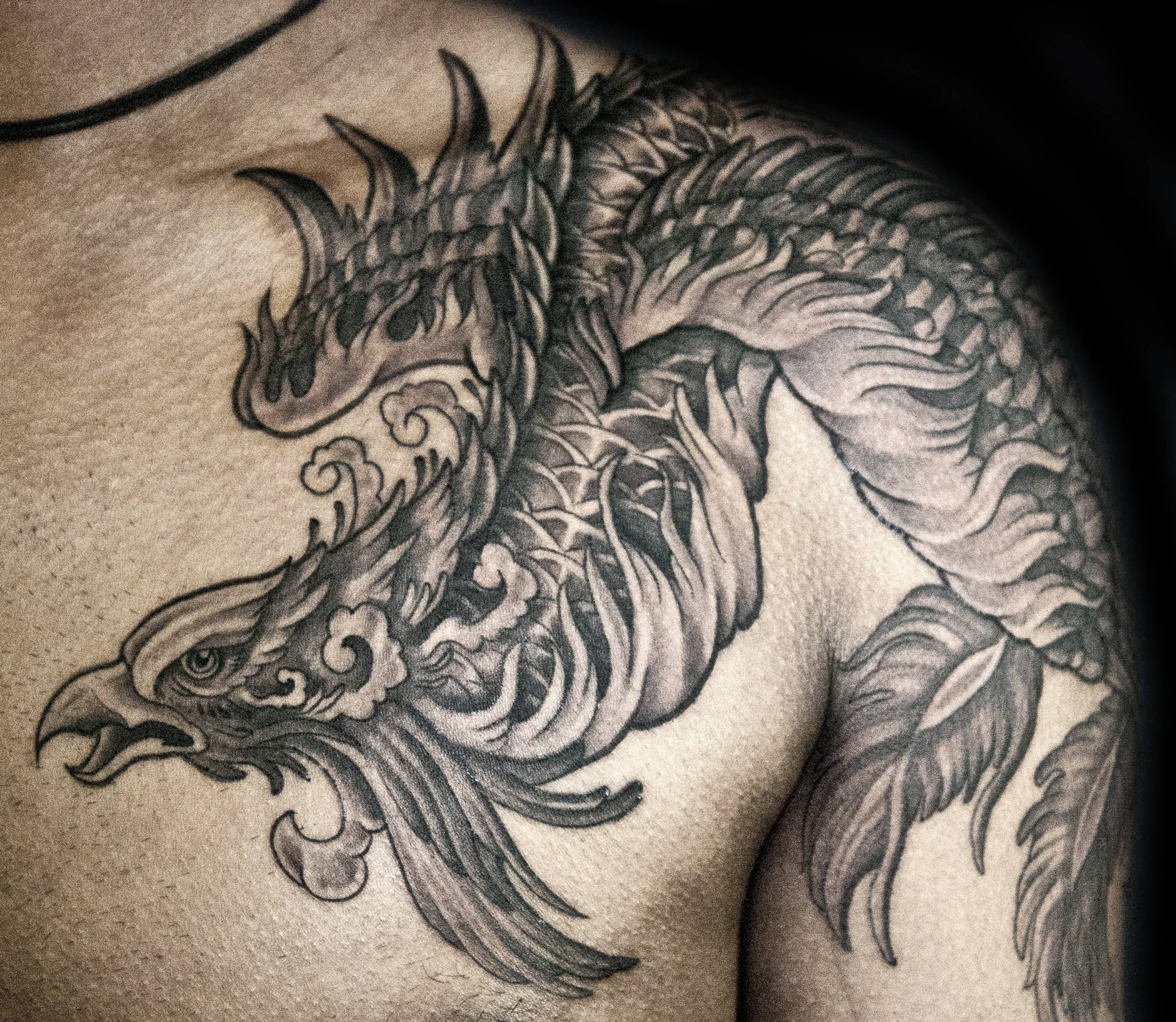 Black And Grey Flying Phoenix Tattoo On Man Left Front Shoulder