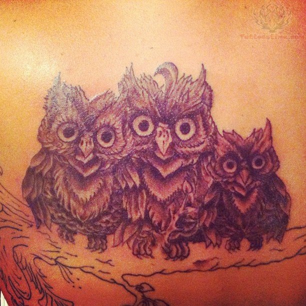 Black And Grey Owl Family Tattoo Design