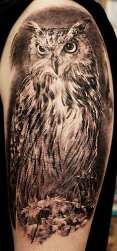 Black And Grey Owl Tattoo On Left Half Sleeve