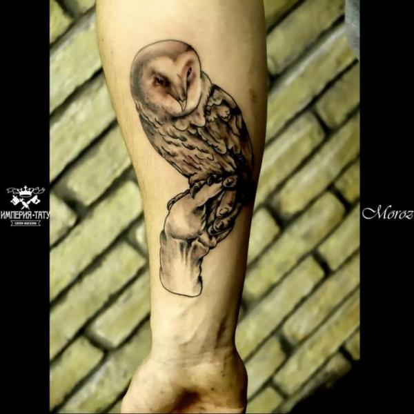 Black And Grey Owl Tattoo On Man Right Forearm