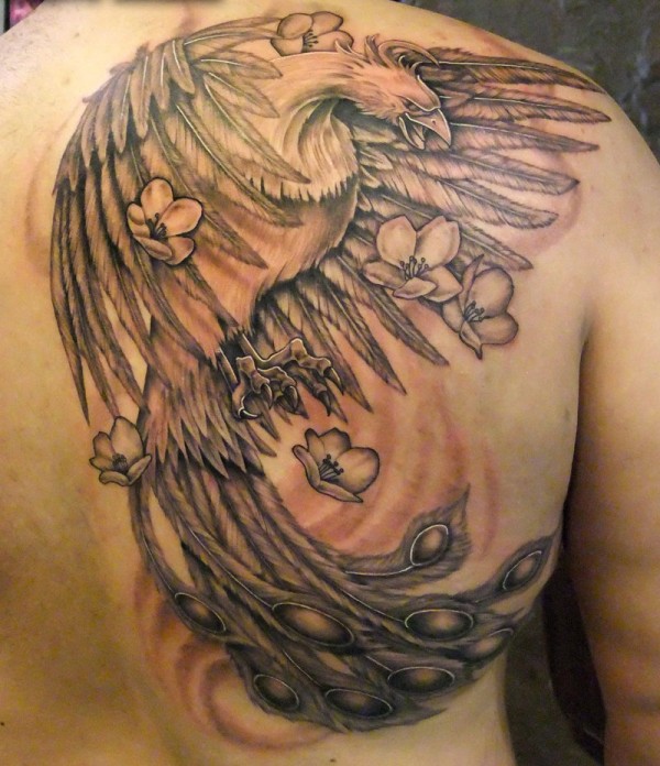 Black And Grey Phoenix With Flowers Tattoo On Right Back Shoulder