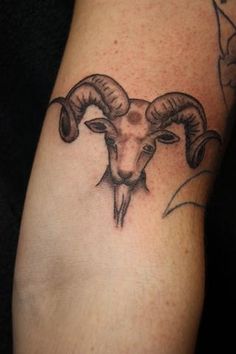Black Ink Aries Zodiac Sign Tattoo On Forearm