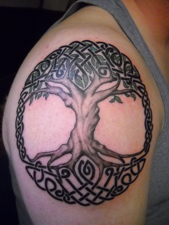 Black Ink Celtic Tree Of Life Tattoo On Right Shoulder