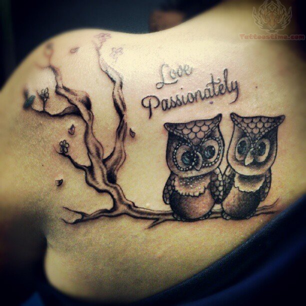 Black Ink Owl Family On Branch Tattoo On Left Back Shoulder