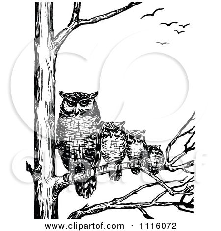 Black Ink Owl Family On Tree Tattoo Design
