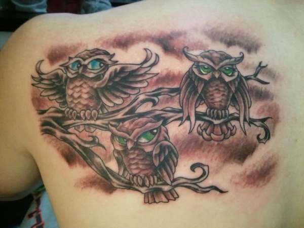 Black Ink Owl Family Tattoo On Left Back Shoulder