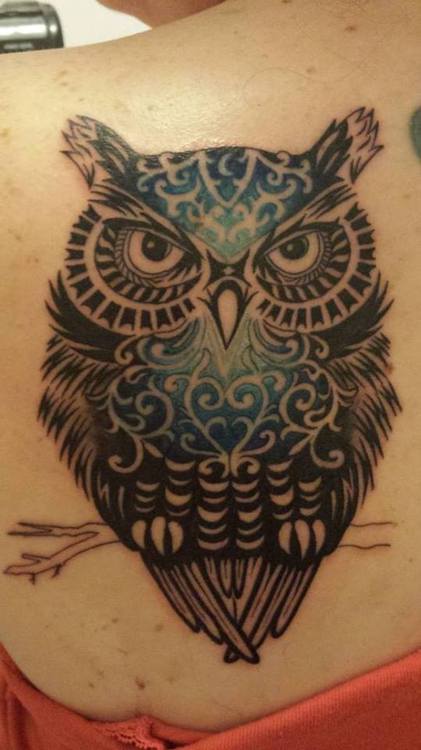 Black Ink Owl Tattoo On Left Back Shoulder