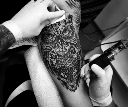 Black Ink Owl Tattoo On Right Upper Arm