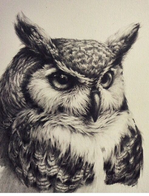 Black Ink Realistic Owl Tattoo Design