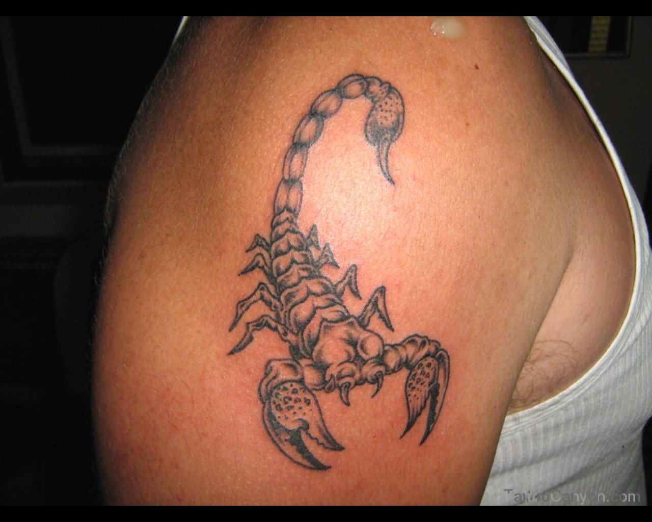 Black Ink Scorpio Zodaic Sign Tattoo On Right Shoulder