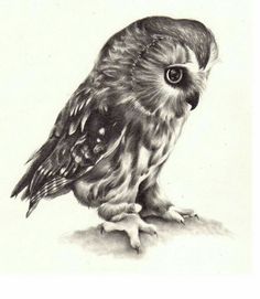 Black Ink Small Owl Tattoo Design