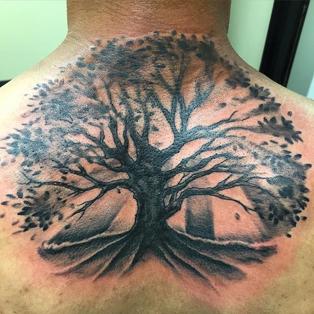 Black Ink Tree Of Life Tattoo On Man Upper Back