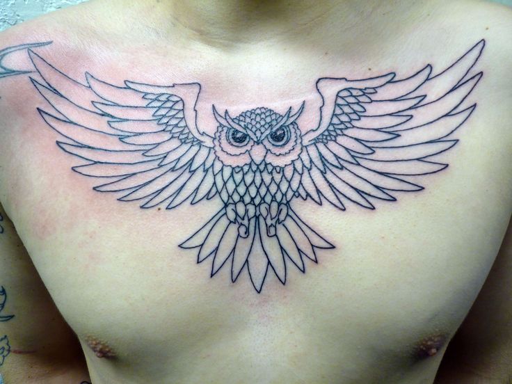Black Outline Flying Owl Tattoo On Man Chest