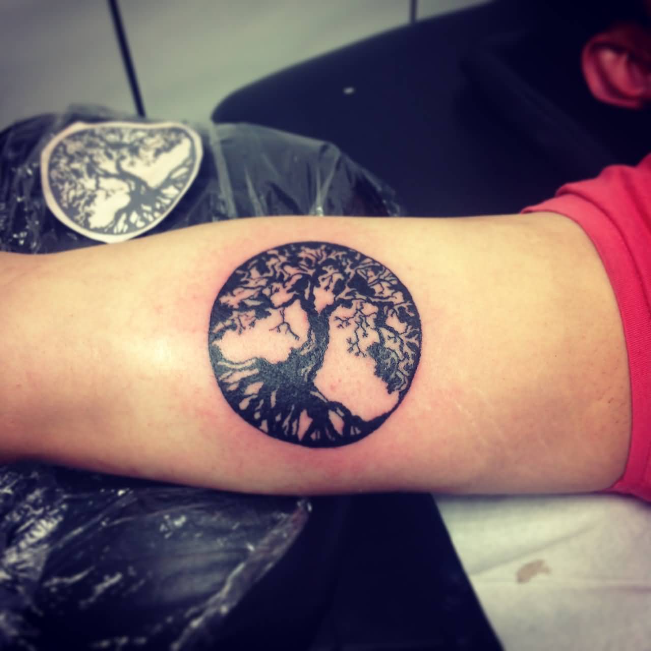 Black Tree Of Life Tattoo On Right Bicep By Alexia Elena Ivanov