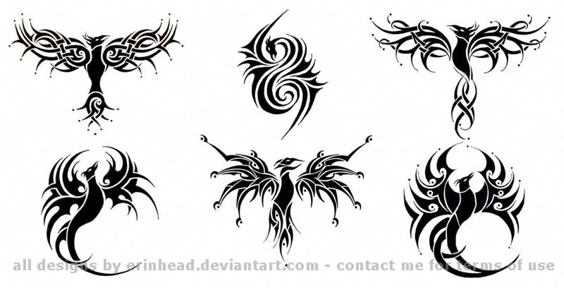 Black Tribal Six Phoenix Tattoo Stencil By Erinhead