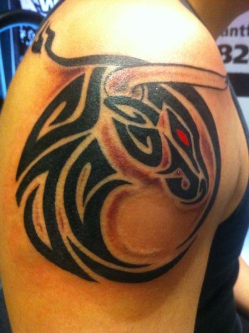 Black Tribal Taurus Head Tattoo On Right Shoulder