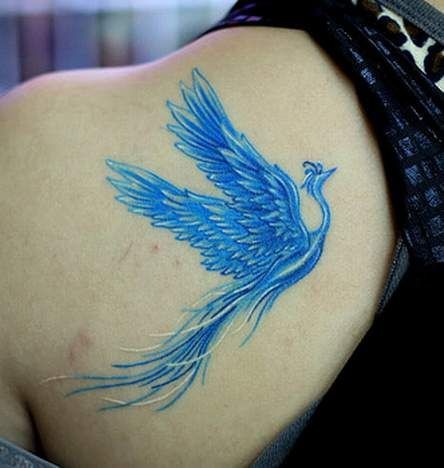Blue Ink Flying Phoenix Tattoo On Girl Left Back Shoulder