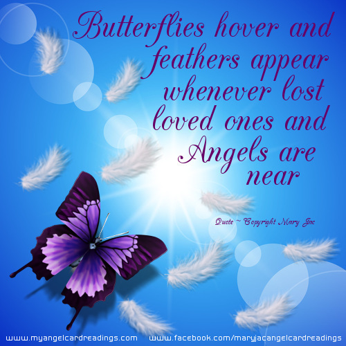 Butterflies hover and feathers appear. Whenever lost loved ones or Angels are near.
